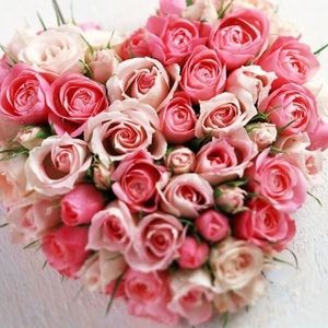 Meet your Posher, Trisha